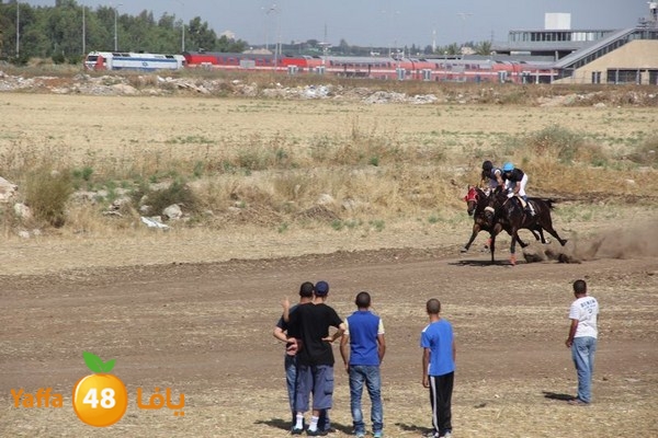 horse race 0602 (62).JPG